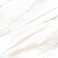 سفید/ Face 3